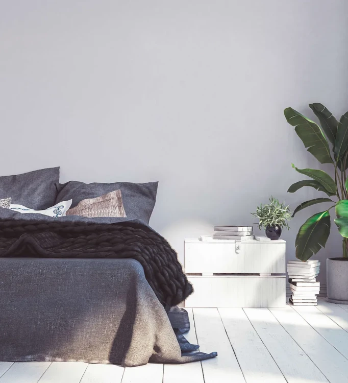 d3539ccc7ceb285dab5938bd82c437cd