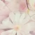 964a842fa2073f77eab40349aadff6b8