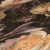 c16d2103e7899a7ed09b2b1b5fc058bc