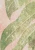 27f775b02def0cbd66567a4203a7f6fc