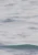 642f56dc6f60c157c9c5047c882aa9b2
