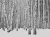 ef0ddd6e6f33723e315f5a7bd765a4e1