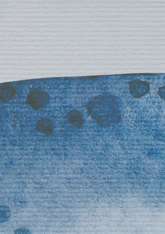 249ec607277ef9a6203da5e7214fa318