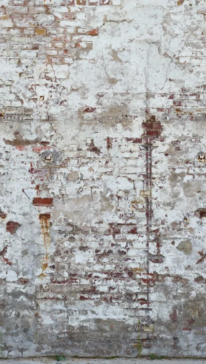 87ac1c004175fa7e26322b88e446d0c7