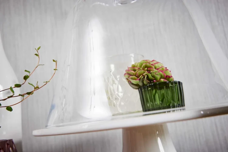 a99a0ea0a7c5d357b1d44c2dc2adaf4c