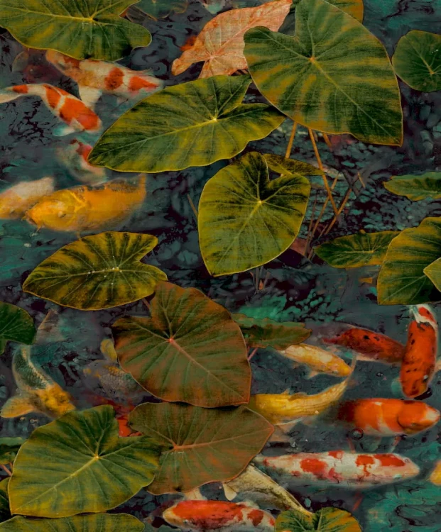 9b8ce79d4e4b95f5849803abd5585739