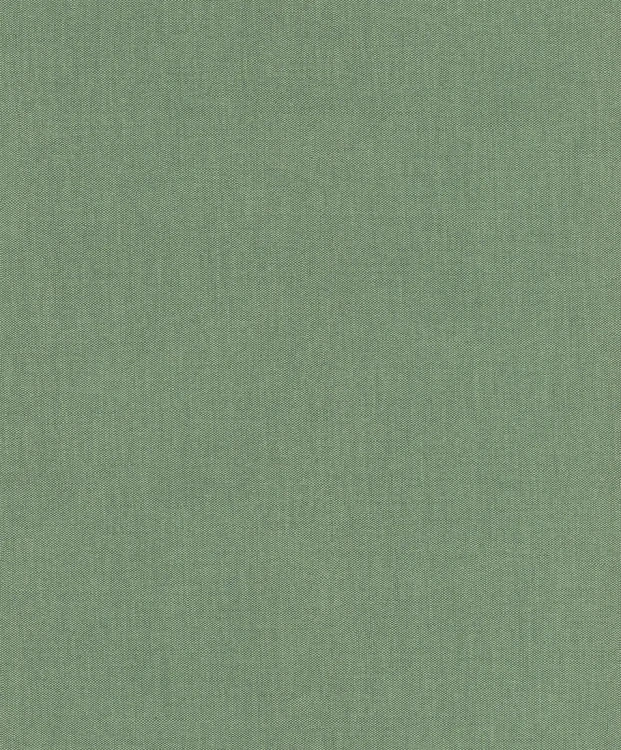 e1e1f0feb2b891d9b4f8fd36e6478553