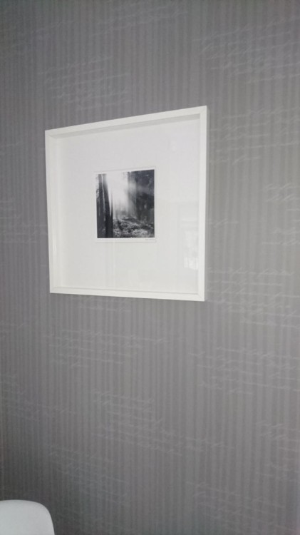 54001 aranżacja2.jpg