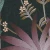 1578a5ff43312920ef5ec6bb37ce4793