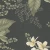 34fcf677c742d28caab919bddd2b1c9b