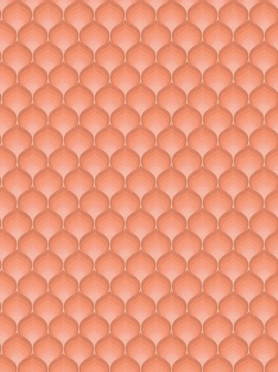 49cf9f595f065beae0b9a50e25882cd0