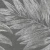 1b8c153c8aa33ff9fe67dcd777784c5b