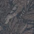 5ec5569ed73e3dd7555b9093b5acc8ea