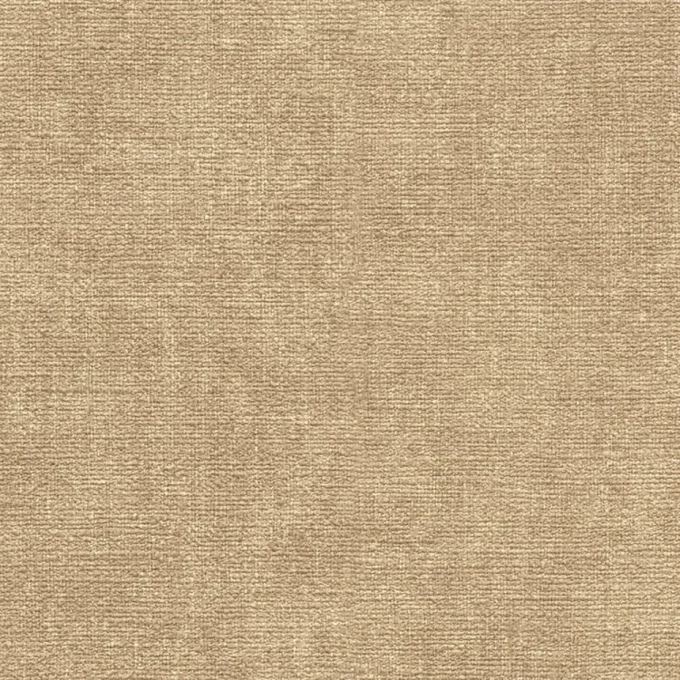 8e990dfa99cfc22825dff4edf8c2c589