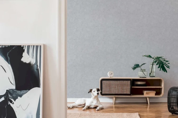 8ccd44b1bcffc17e8669db1c1222522d