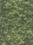 18dd360891518afafc270aca9484925d