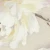 c94c56a8dfe739d6a3625a60e69cd898