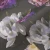 d1ce423fc009343c2dfa88765318ef06