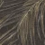 70765e786509d4e4fccea8415bb73f86