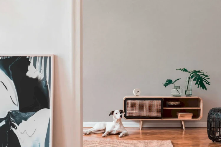 a6994be376735bf0fdf816b1e47fa17a