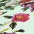 0f42a649b6b14cb12920158aa497d2e5