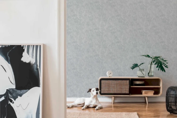 22162292f5499d62d2386cc51d43786c