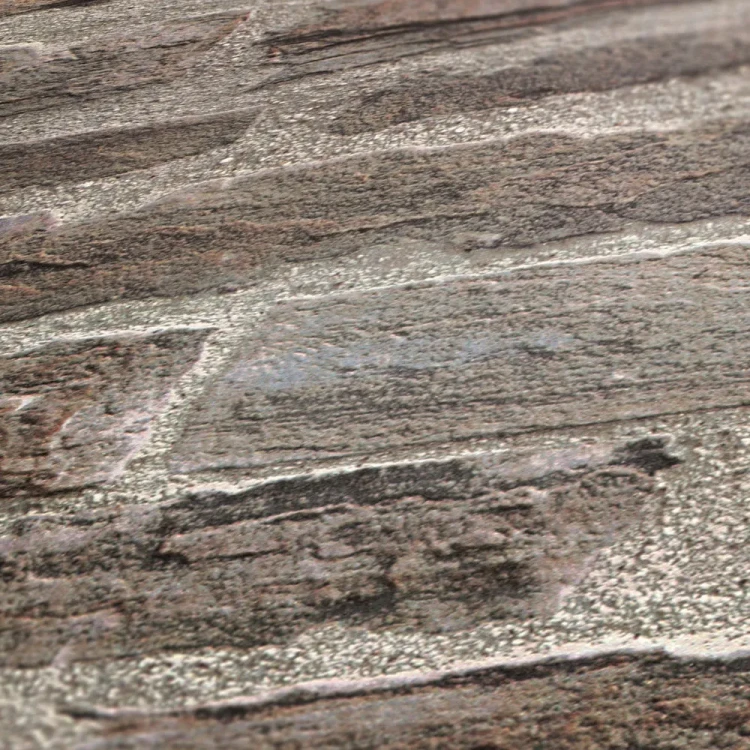 51078cd5648c34101fa2b27c332a4bce