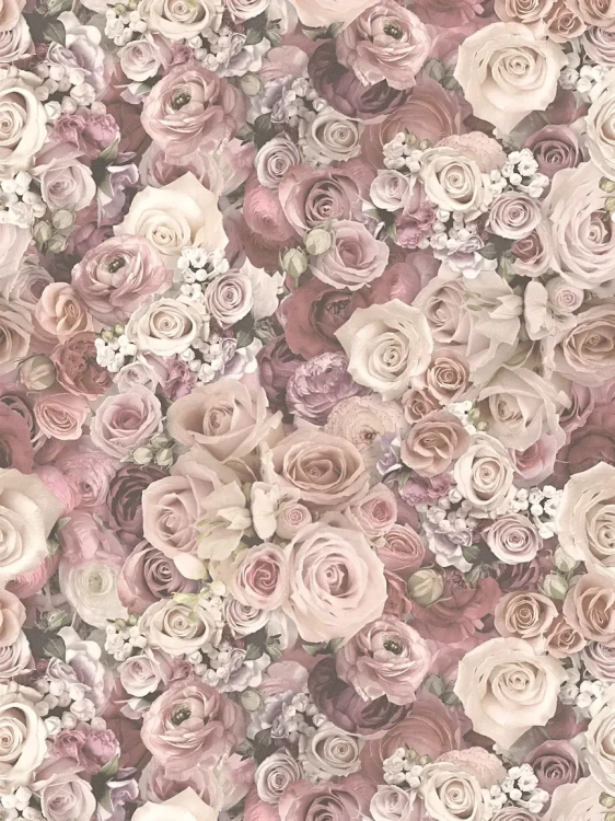 40fa49c6ce99e3c4526cd1662f6d465d