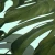 a9bb0f408fd5952a4242b7a1515cdb13