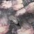 65d28291d6d04ceb5e3d4ce30a00f86f