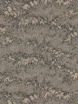 Tapeta 36972-5 Absolutly Chic AS Creation kwiecista w kolorze beżowym z czarnymi konturami - brąz, szarość, beż