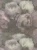 07ad53ee7a9d00dbc4b59abd39c82a0b