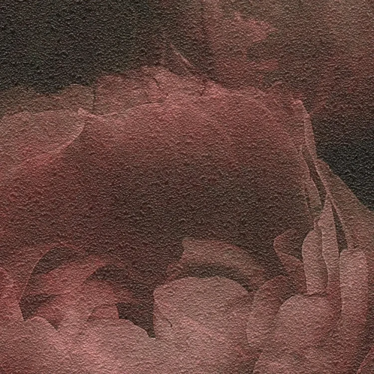 62d02e691abce410b568b8d5b5bfa48c