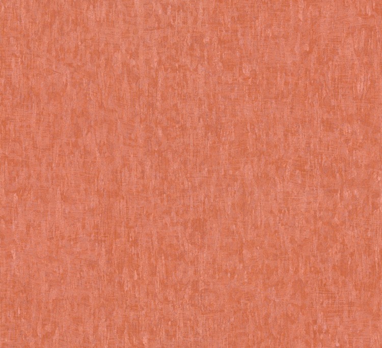56020.jpg