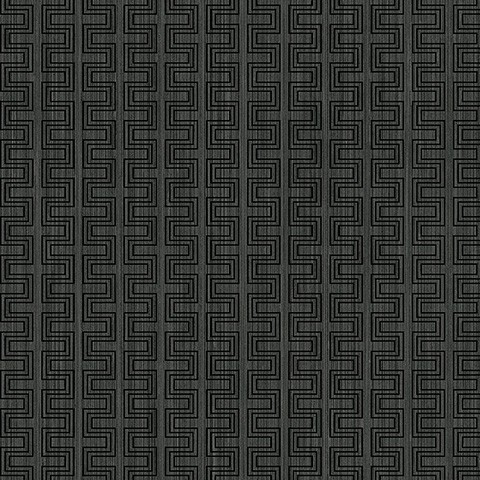 ZN51800.jpg