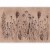 Fototapeta - Polne kwiaty - czarne rośliny na tle w technice lime wash