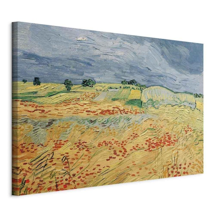 Obraz - Vincent van Gogh – Pola z kwitnącymi makami