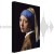 Obraz - Jan Vermeer – Dziewczyna z perłą