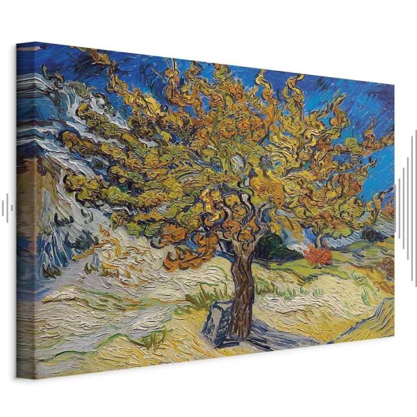 Obraz - Vincent van Gogh – Drzewo morwowe