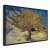 Obraz - Vincent van Gogh – Drzewo morwowe