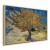 Obraz - Vincent van Gogh – Drzewo morwowe