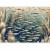 Fototapeta - Oceaniczna przyroda