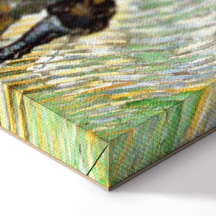 Obraz - Vincent van Gogh – Droga z cyprysem i gwiazdą
