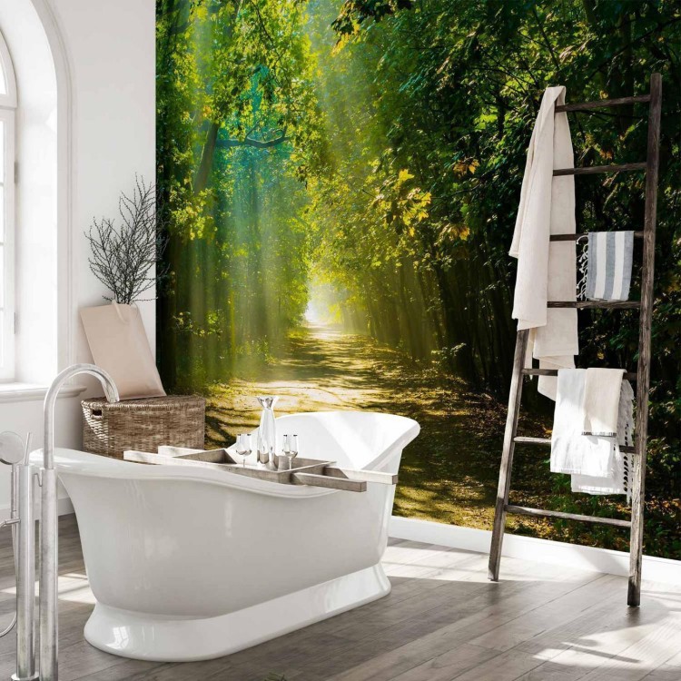 Fototapeta - Droga w słońcu