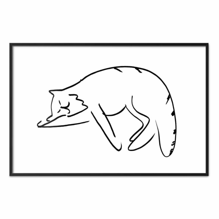 Plakat - Kocie sny