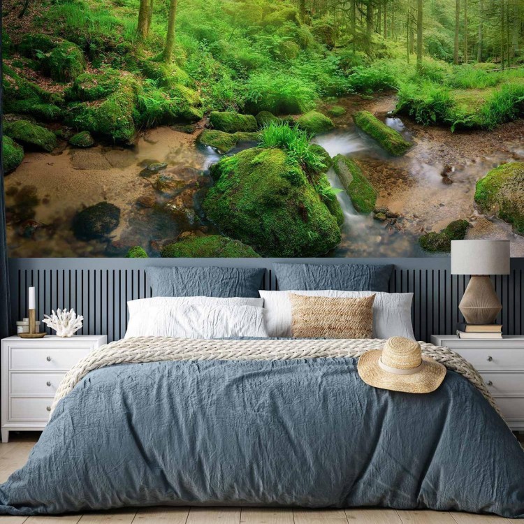 Fototapeta - Wilgotny Las