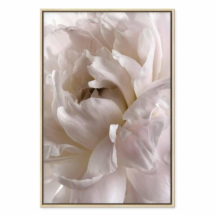 Obraz - Puszyste roztargnienie (1-częściowy) pionowy