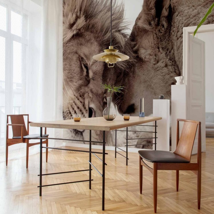 Fototapeta - Lew i lwica