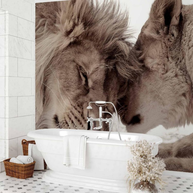 Fototapeta - Lew i lwica