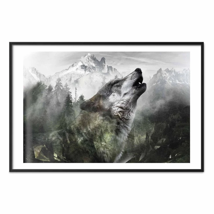 Plakat - Wyjący wilk